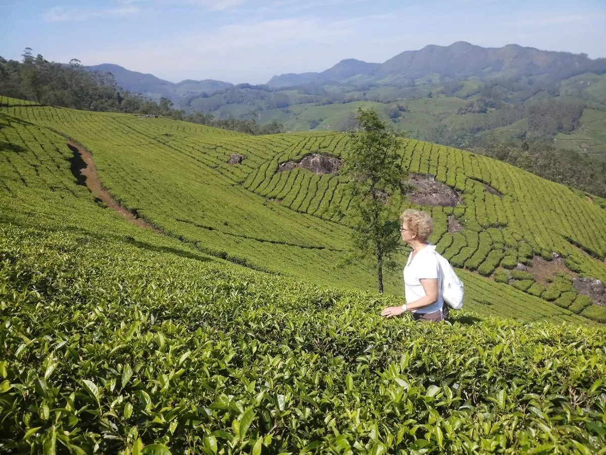 Homestay Munnar View Cottage